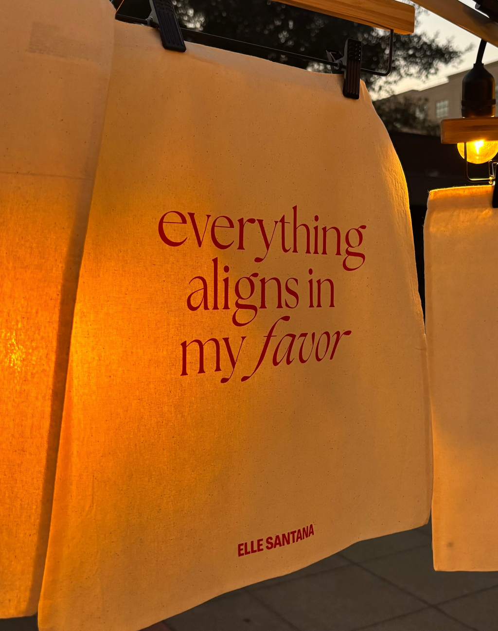 Everything Aligns Tote
